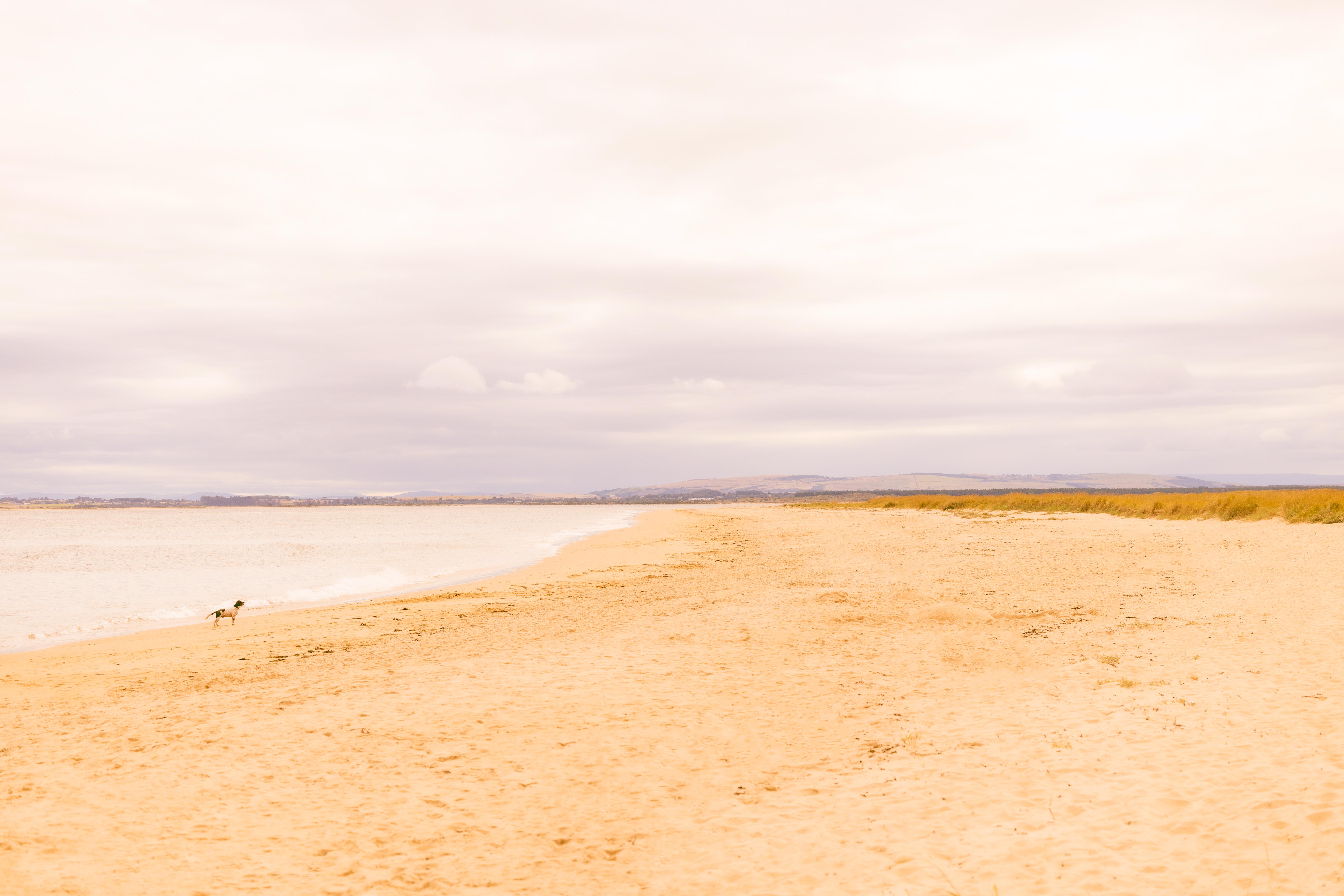 מלון Dornoch Station מראה חיצוני תמונה The beach at West Bay