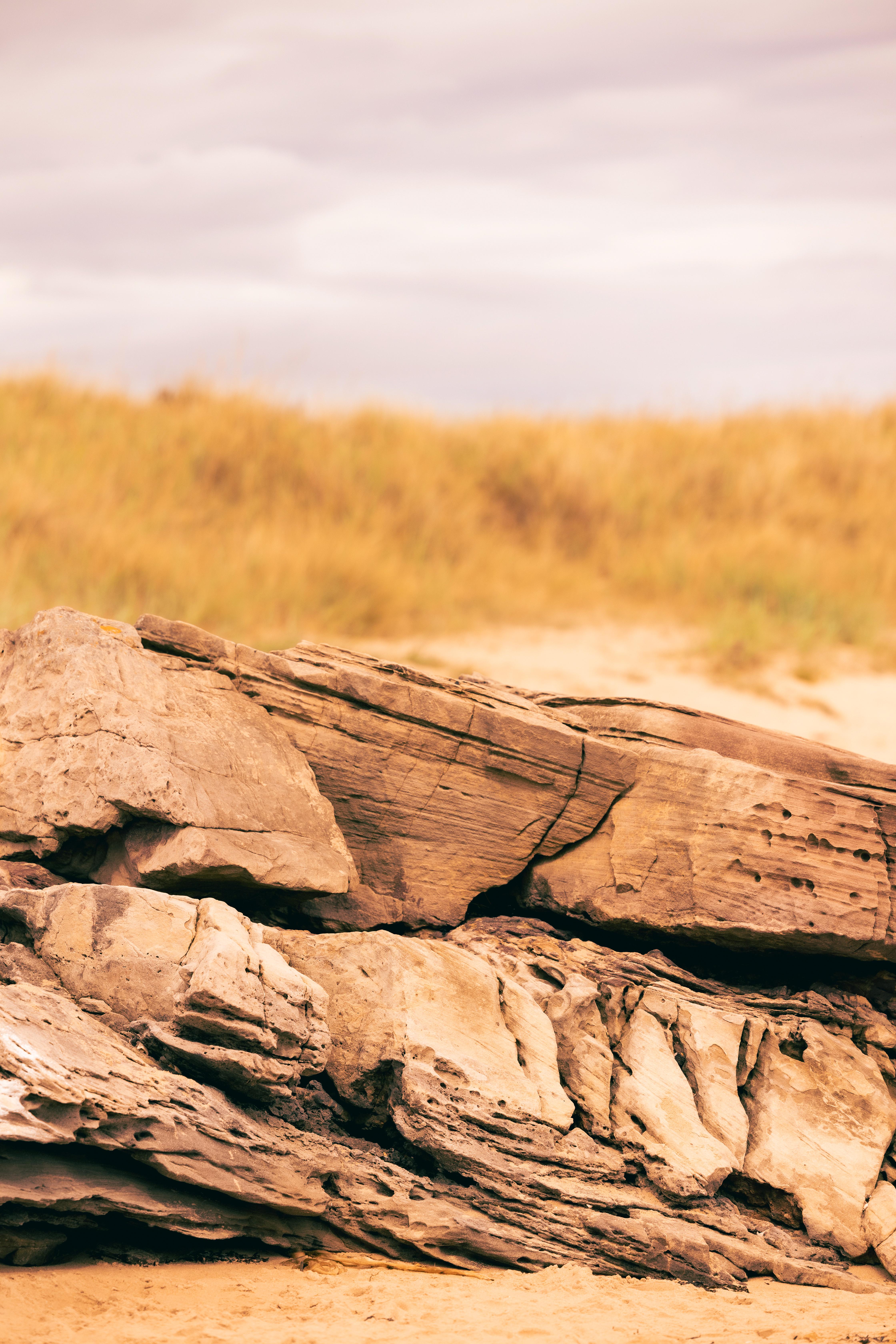 מלון Dornoch Station מראה חיצוני תמונה The remains of a ship at the site of the 1905 shipwreck